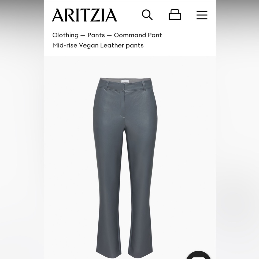 Aritzia grey command pant